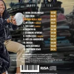 iSwidi – Hamba Nqola Yami Album