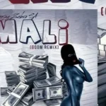 Deejay Zebra SA – Mali (Gqom Remix)