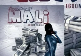 Deejay Zebra SA – Mali (Gqom Remix)