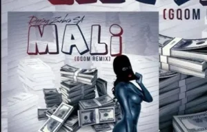 Deejay Zebra SA – Mali (Gqom Remix)