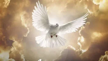 Aw’DjMara – Akuvumi