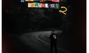 Shazmicsoul – Istradi Sensation 2 EP