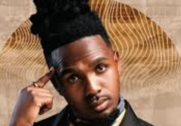 MusiholiQ – Umsebenzi