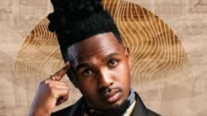 MusiholiQ – Umsebenzi