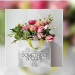 Vico Da Sporo & Zelule zn – Something Special