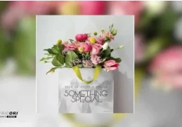 Vico Da Sporo & Zelule zn – Something Special
