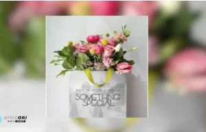 Vico Da Sporo & Zelule zn – Something Special