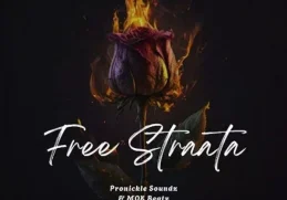 Pronickle Soundz – Free Straata ft. Mok beatz