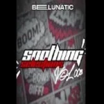 Bee Lunatic – Soothing Selections Vol. 003