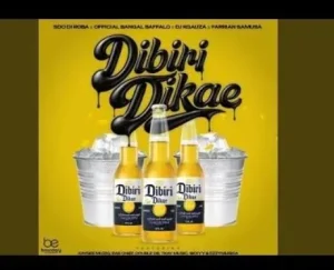 SdoDiroba, Official Bangal Baffallo, DJ Kgauza, Farrian Samusa – Dibiri Dikae