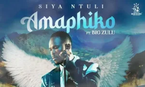 Siya Ntuli – Amaphiko