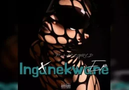 DJSkapter – Ingunekwane