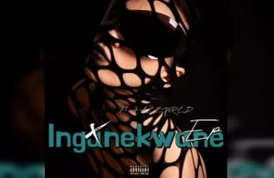 DJSkapter – Ingunekwane