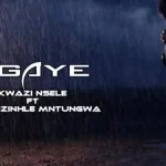 Kwazi Nsele – Ngaye