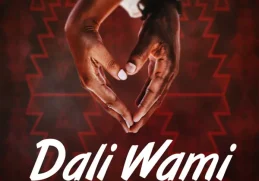 Dali Wami Maskandi Song - Halala