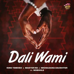 Dali Wami Maskandi Song - Halala
