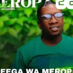 Ceega – Meropa 227