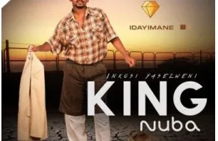 King Nuba – Ngiyinkinga