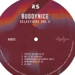 Buddynice – Selections Vol. 2
