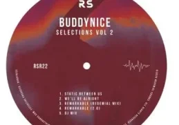 Buddynice – Selections Vol. 2
