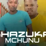 Bhazuka Mchunu – UNGITHWASISELANI