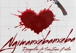 DangerFlex – Ngimanxebanxeba