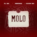 JL SA, Msongi & COON SA – MOLO