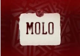 JL SA, Msongi & COON SA – MOLO