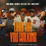 Super Mosha Ottimo, Lintonto, Olley Rsa & HFLY – Lihle Are You Walking