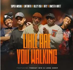 Super Mosha Ottimo, Lintonto, Olley Rsa & HFLY – Lihle Are You Walking 