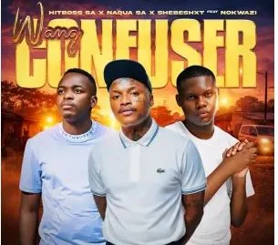 Hitboss SA, Naqua SA & Shebeshxt – Wang Confuser