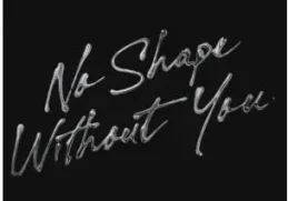 Shimza & LevyM – No Shape Without You