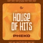 Tumisho – House Of Hits