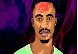 Luxury SA – Belle Rose