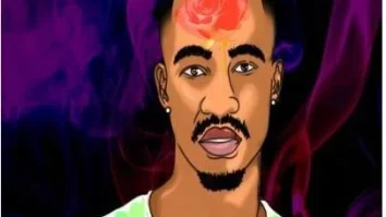 Luxury SA – Belle Rose