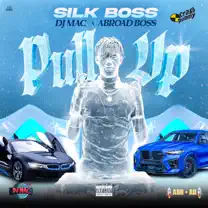 Silk Boss, Dj Mac - Pull Up