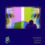 Aquadeep & Veesoul – MAQman Deep Jazz Remixes