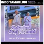 Tee Jay – Umama noTata