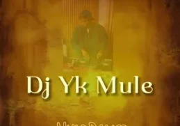 Dj Yk Mule - Mule Dance