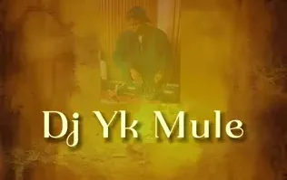 Dj Yk Mule - Mule Dance