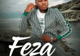 Feza – Sengithole Omunye
