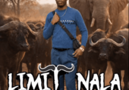 Limit Nala – Ama Buffalo