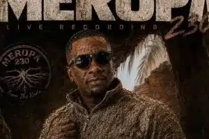 Ceega – Meropa 230 Mix