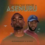 Niipseedadust – Asenuru