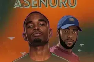 Niipseedadust – Asenuru
