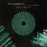 The AquaBlendz – Since I Met You