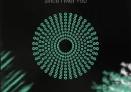 The AquaBlendz – Since I Met You