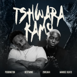 Tshwara Kamo - Poobington
