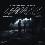 DJ Mellcaw 204 – Ufadalele (Kwaito)