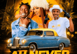 DJ Nhlaks & IndianaRSA ft Shria – Ah Never